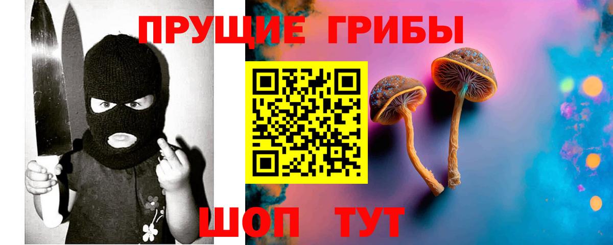купить закладку  Галлюциногенные грибы MAGIC MUSHROOMS  Вход с VPN  Ахтубинск 